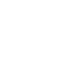 government icon